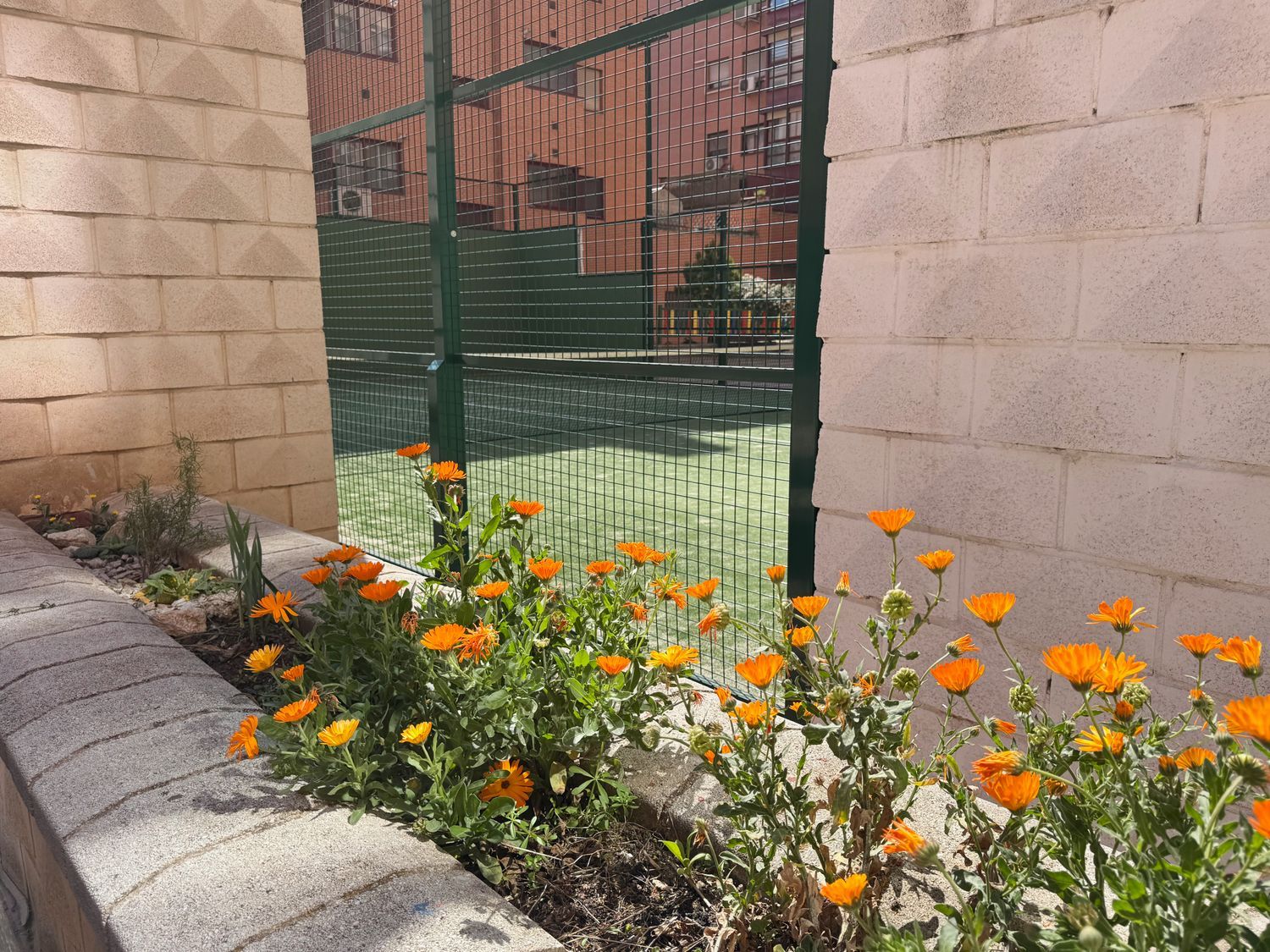 Ático en calle Rutilo, 9 - Foto 34