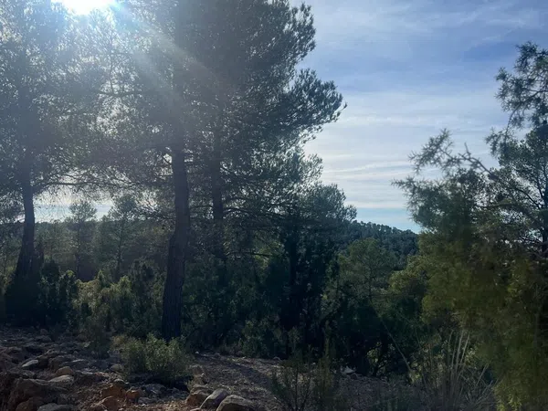 Casa o chalet independiente en Barrio Pantano Contreras, 11 a - Foto 25
