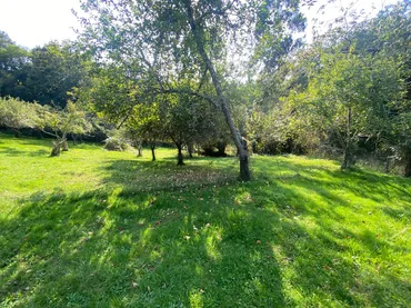 Piso en - Foto 10