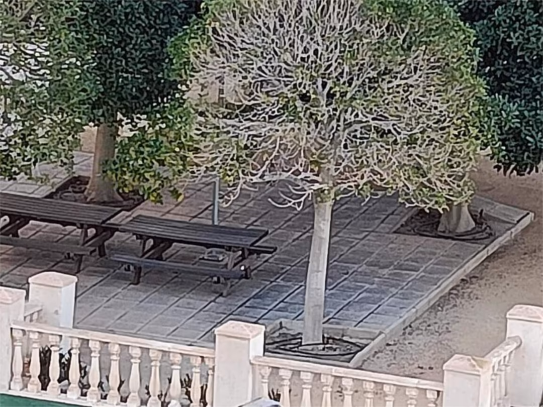 Piso en  Avenida Jaime I el Conquistador 75 - Foto 27