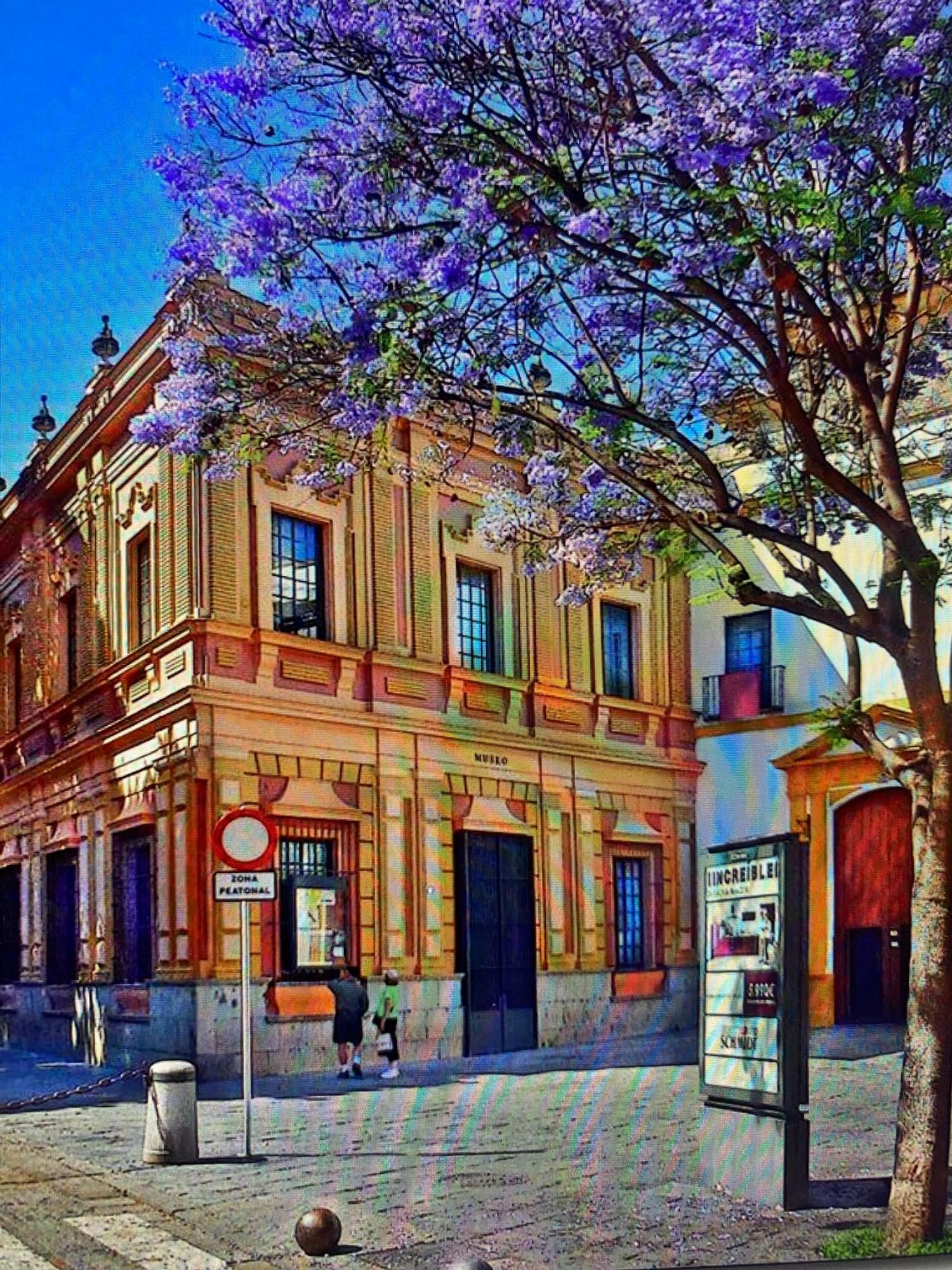 Estudio en calle San Vicente, 3 - Foto 8