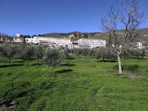 Casa independiente en carretera de la Sierra, 180 - Foto 35