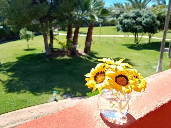 Piso en Avenida Ciudad de Castellón, 1, Vera Playa Naturista, Vera Playa Naturista - Foto 38