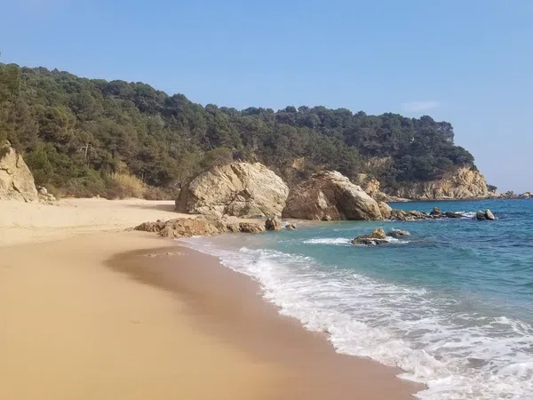 Finca rústica en Passatge Gessamins, 20, Serra Brava, Serra Brava - Foto 11