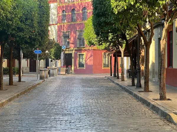 Piso en Calle San Pedro Martir, 8, Arenal - Museo - Tetuán - Foto 29