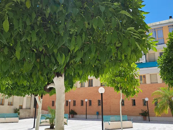 Piso en Calle San Jacinto, 64, Ronda de Triana-Patrocinio-Turruñuelo - Foto 35