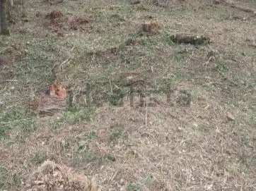 Terreno Residencial en  Avinguda de la Mare de Déu de Lourdes 584 - Foto 2
