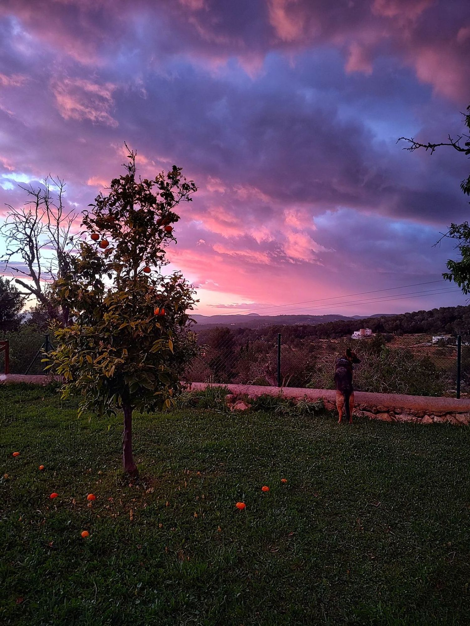 Finca rústica en Diseminado Sa Barda, 60, Sant Rafel de sa Creu, Sant Rafel de sa Creu - Foto 11