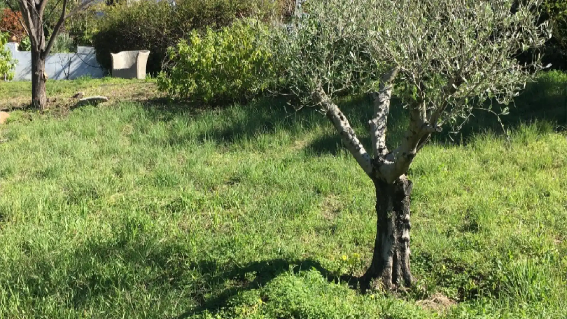 Chalet en  Calle de la Palmera 6 - Foto 23