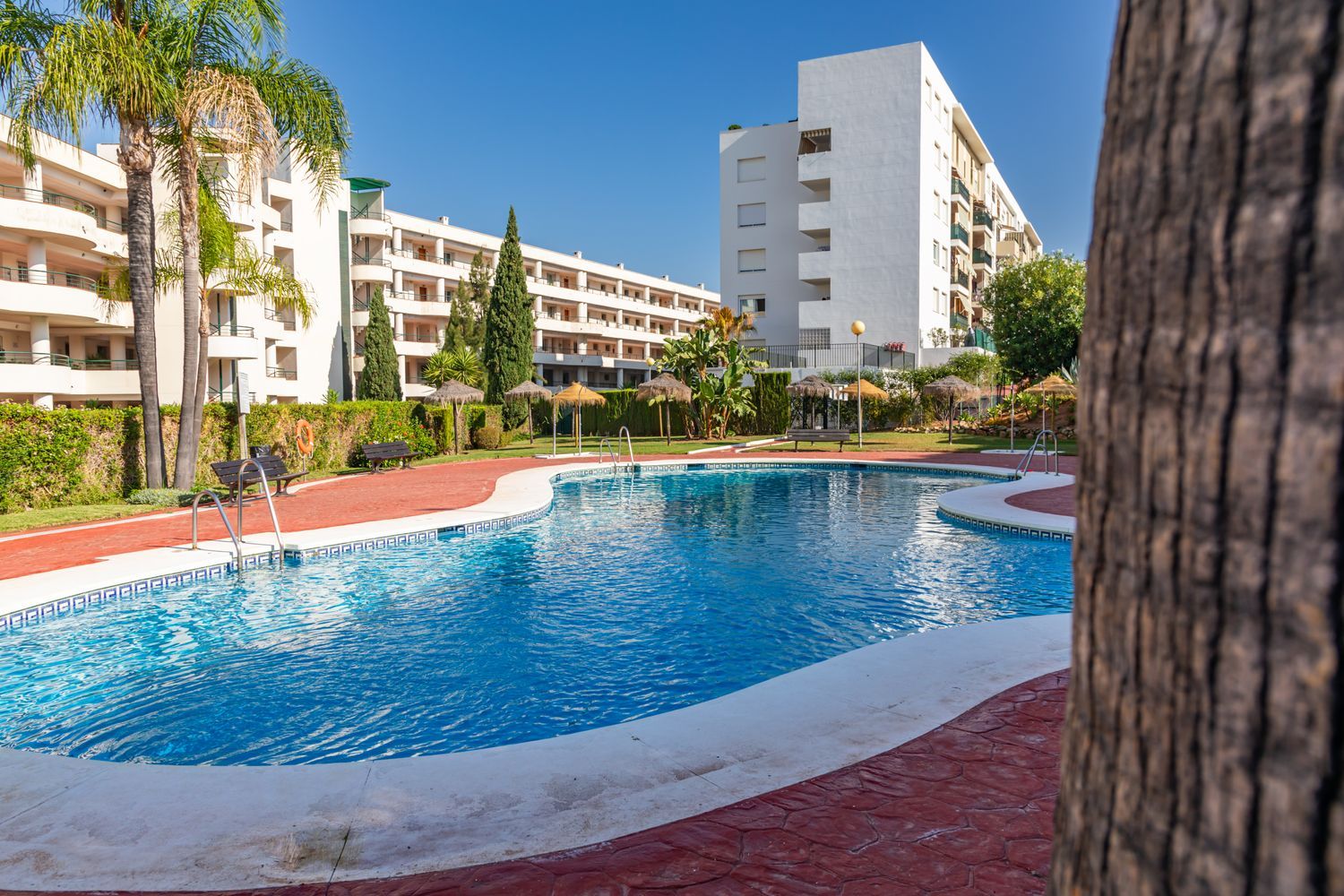 Piso en Camino Cortes, 24, Guadalmina Alta - Foto 35