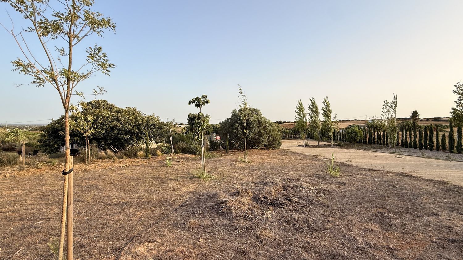 Finca rústica en Ca-4201 s/n, Barrio Nuevo, Barrio Nuevo - Foto 19