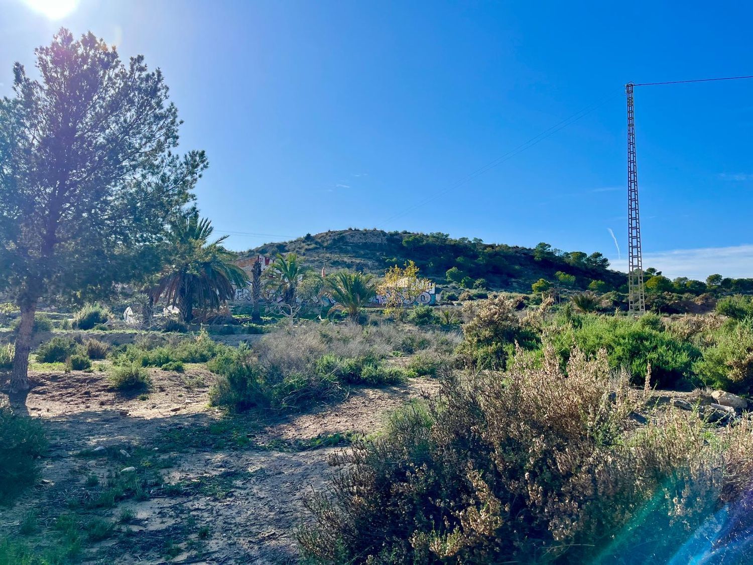 Finca rústica en camino Viejo de Saladas, 2 - Foto 12