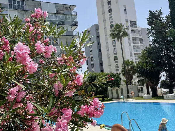 Piso en Avenida de la Telefónica, 13, Parque de la Paloma, Parque de la Paloma - Foto 18