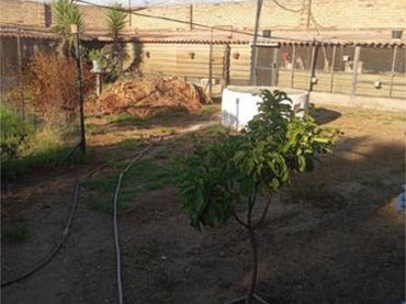 Casa adosada en Urbanización los Pinos del Nevero - Foto 3
