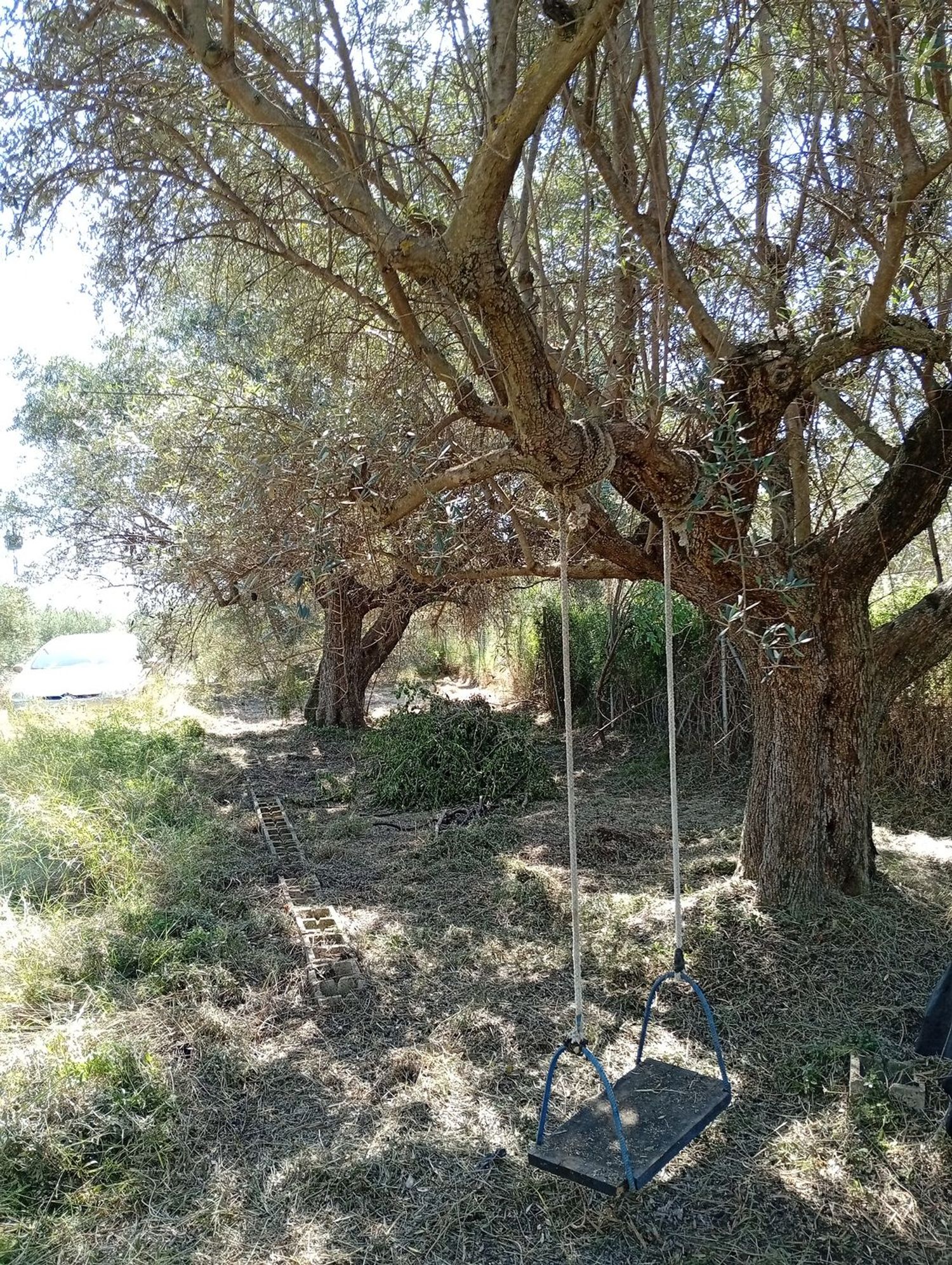 Finca rústica en Camino de Tenorio s/n - Foto 9