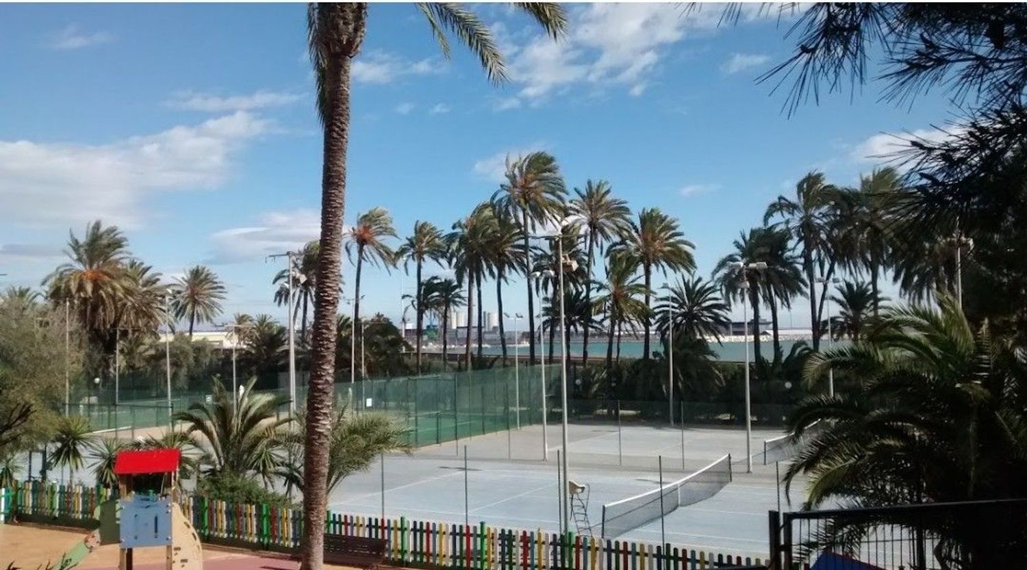 Piso en Calle Deportista Joaquin Blume, 9, El Palmeral-Urbanova-Tabarca - Foto 5