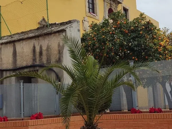 Piso en Alonso el Sabio, 10, San Cayetano - Foto 6