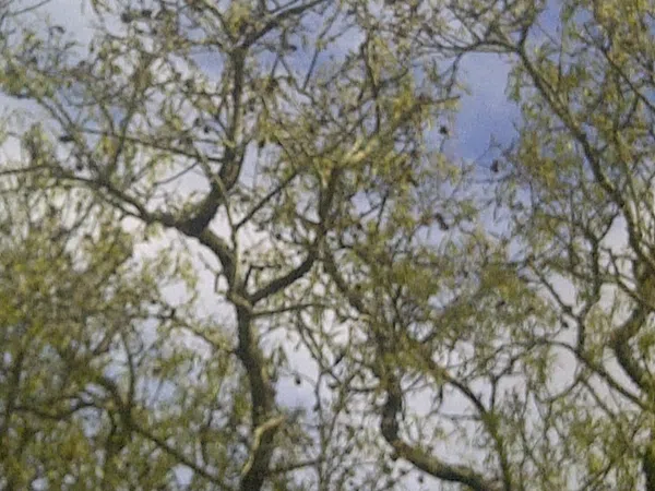 Casa independiente en camino de Melilla s/n - Foto 21