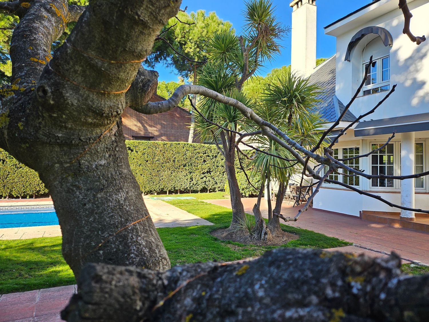 Casa independiente en El Olivar de Mirabal - Foto 3