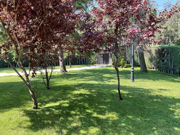 Casa independiente en Las Lomas - Foto 11