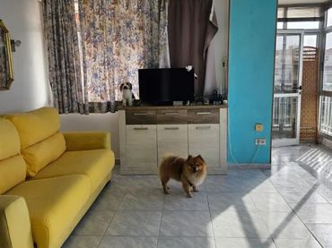 Piso en  Avenida Familia de Betancourt y Molina 30 - Foto 8
