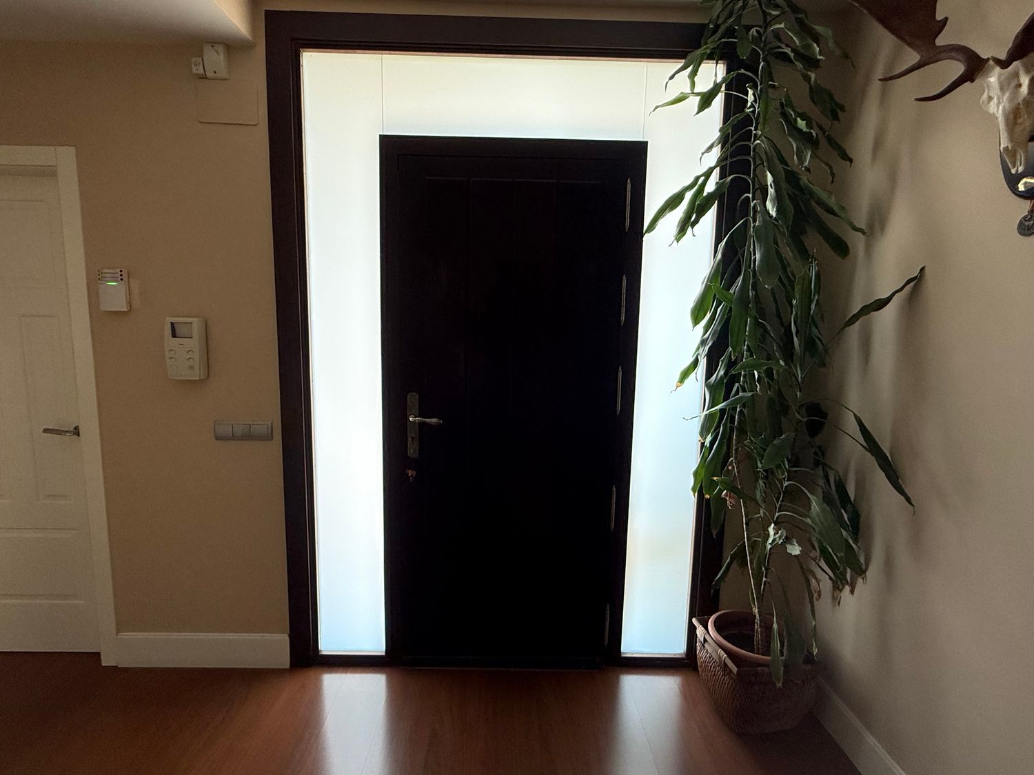 Casa independiente en avenida El brillante, 10 - Foto 37