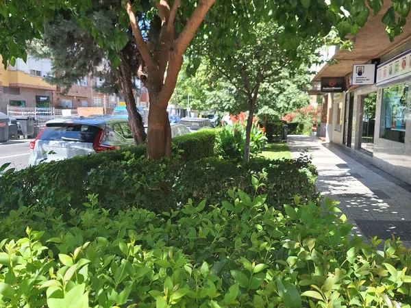 Piso en Zona norte - Foto 21