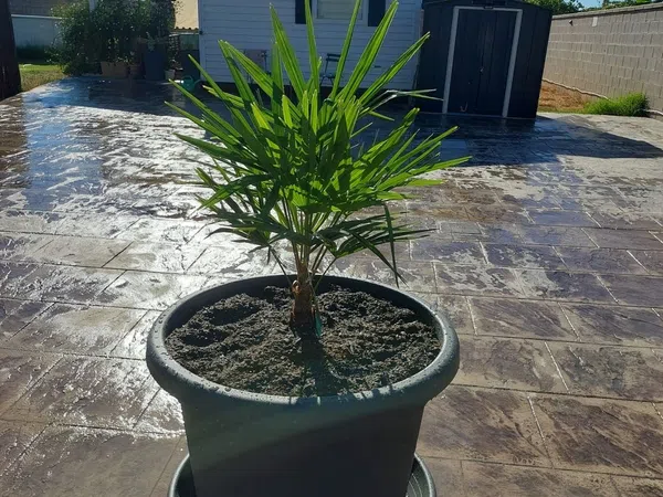 Casa independiente en camino del sotillo s/n - Foto 4