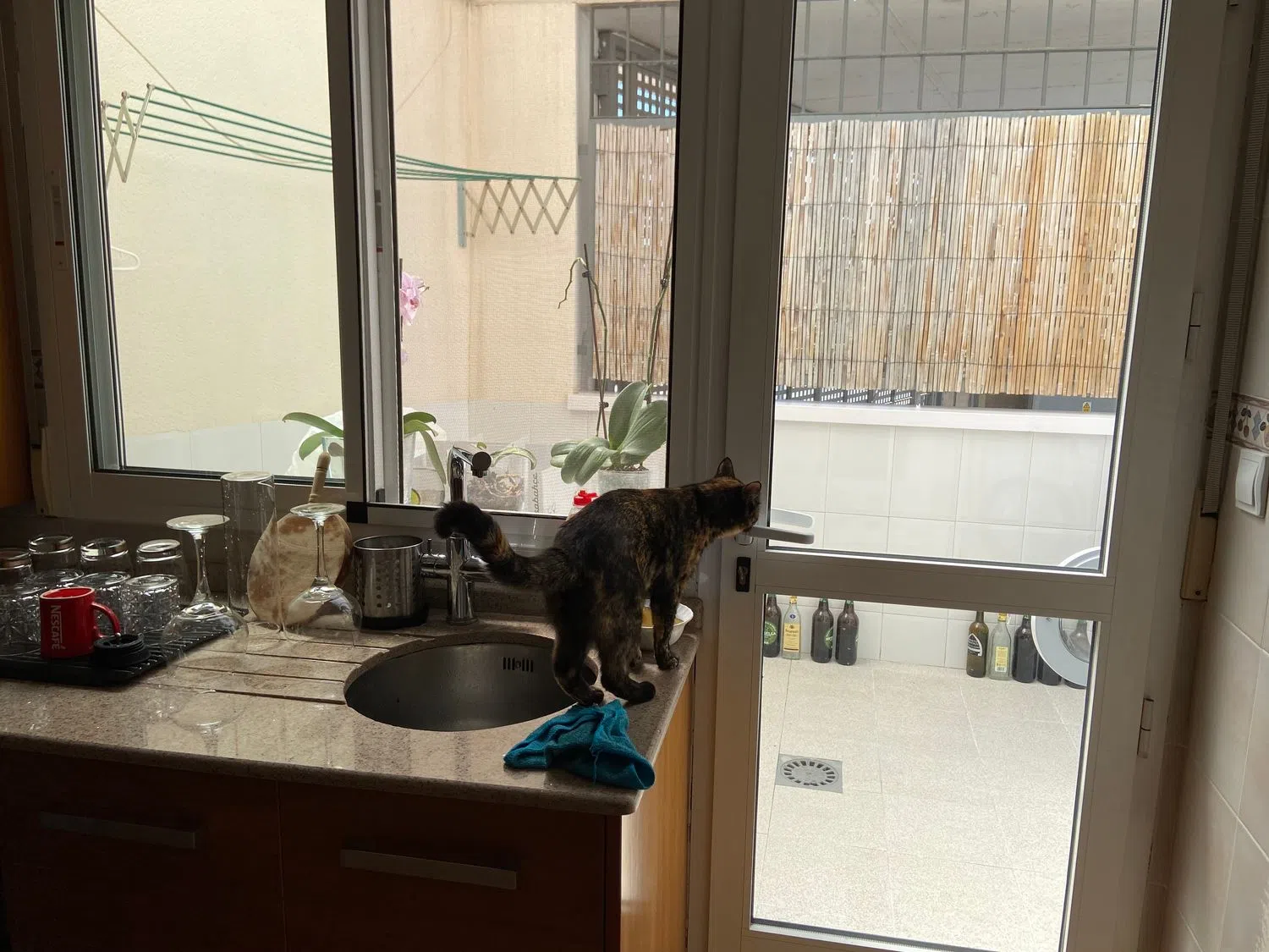 Chalet adosado en calle Rambla, 15 - Foto 19