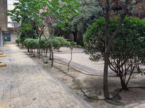 Piso en Calle Parque Bujaruelo, 9, Parque Lisboa - La Paz - Foto 24
