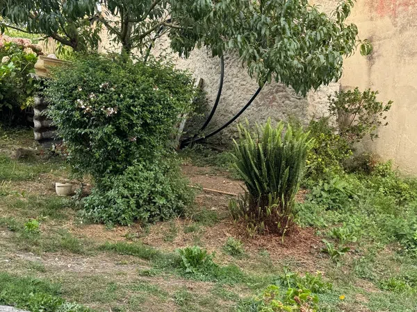 Casa de pueblo en Viveiro - Foto 24