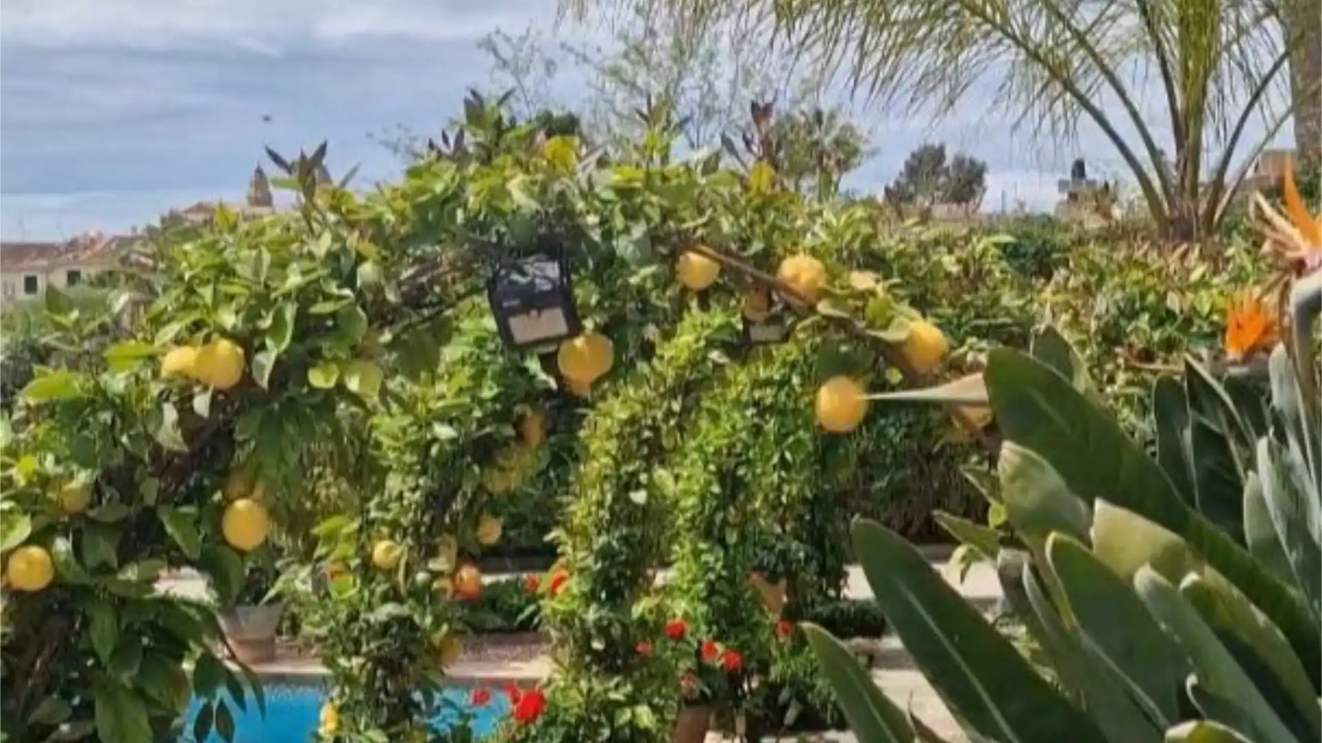 Piso en  Carrer Cortons 22 - Foto 3