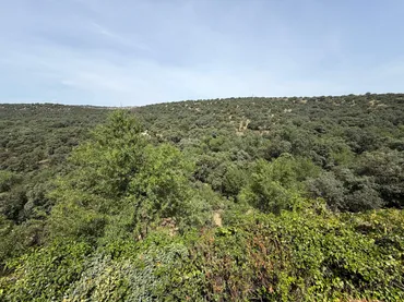 Chalet en Las Rozas de Madrid - Foto 12