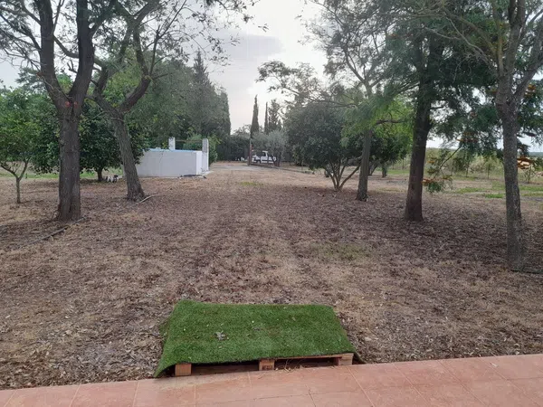 Casa rural en Camino Hacienta Miravet s/n - Foto 8