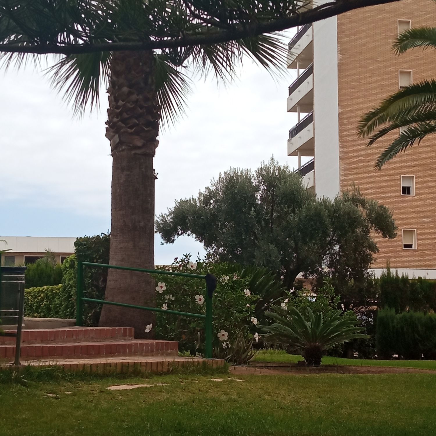 Estudio en Avenida Nord, 6, Playa de Gandia, Playa de Gandia - Foto 19