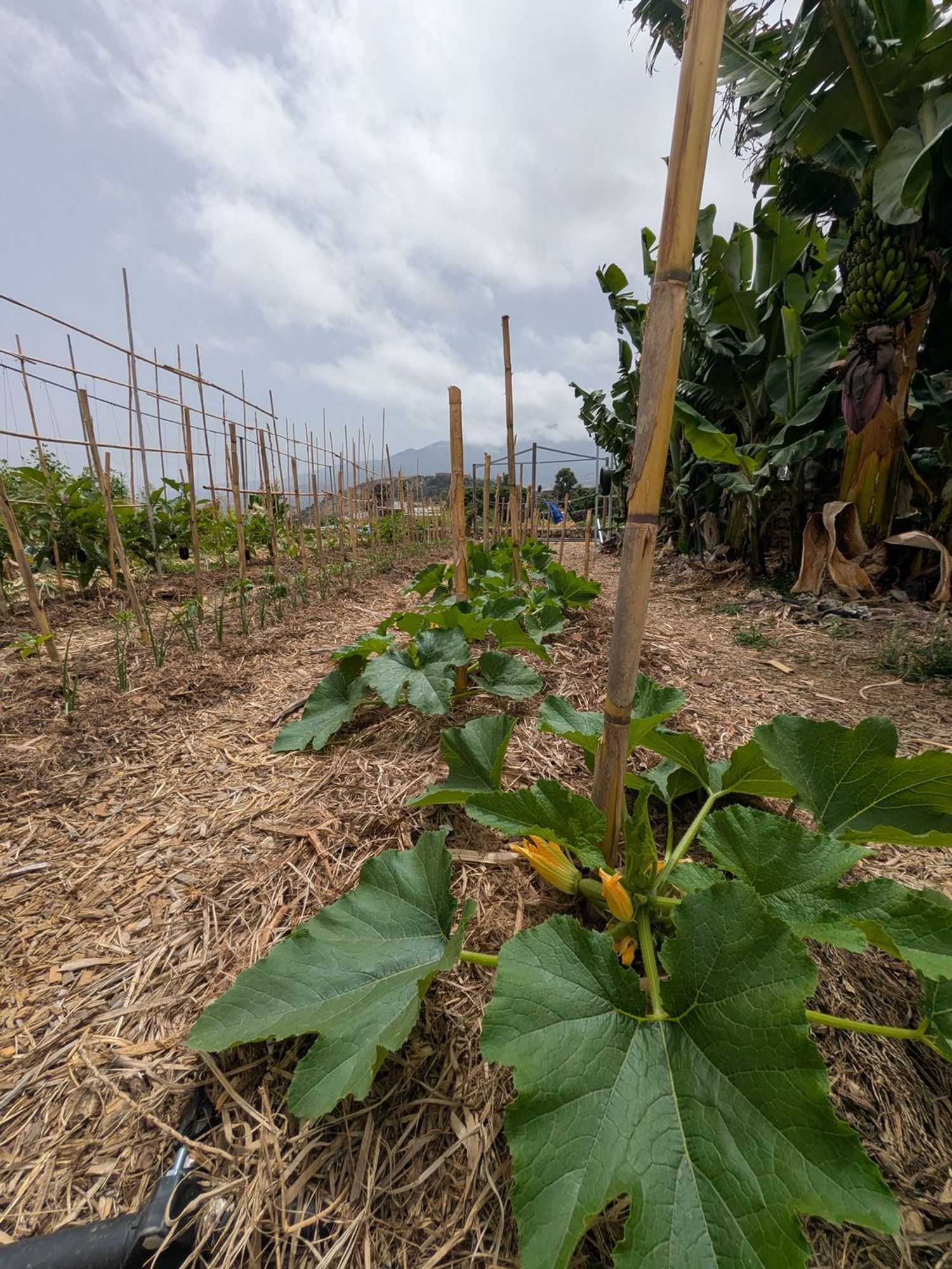 Casa rural en camino Carril, 39 - Foto 20