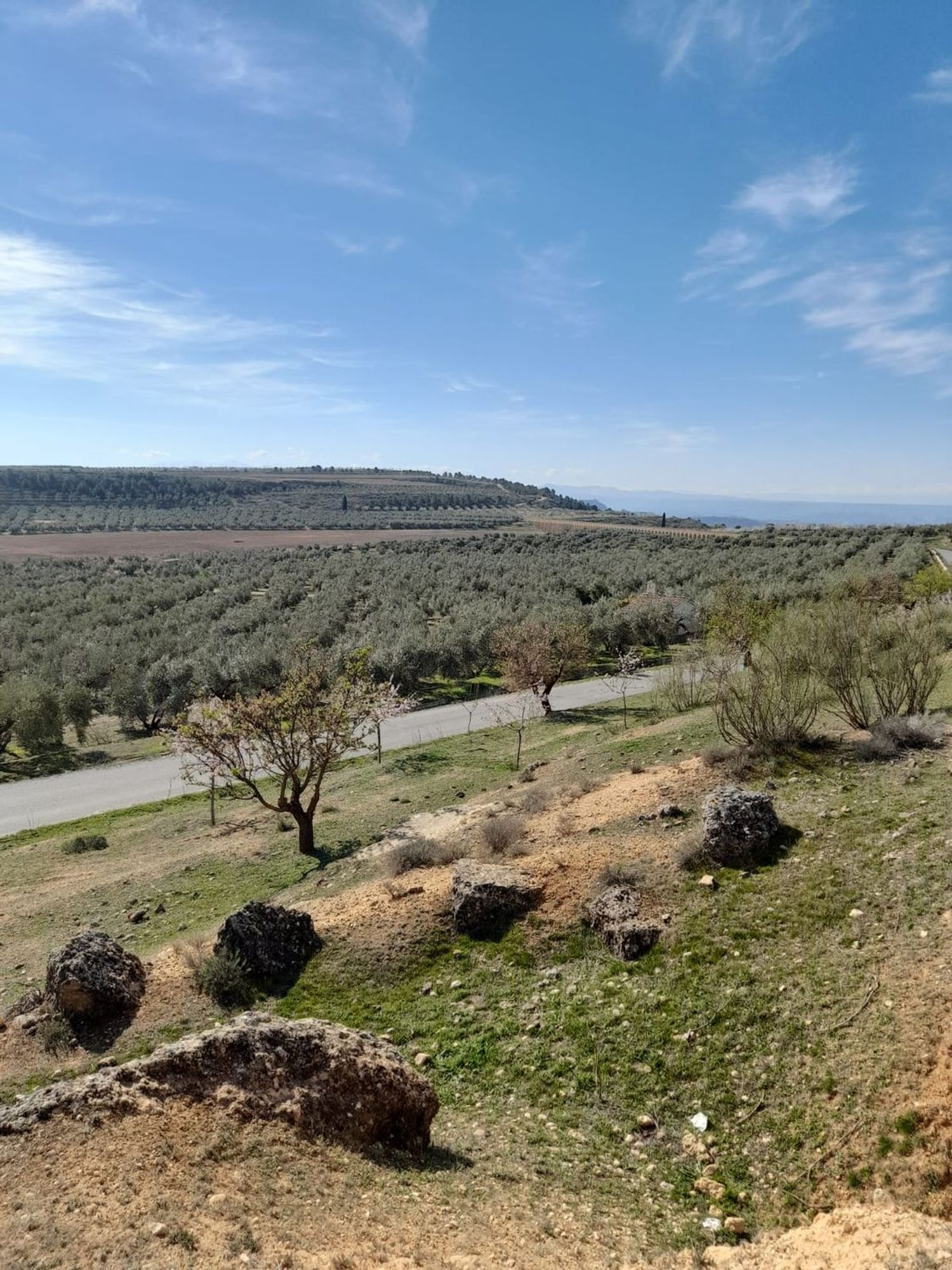 Casa de pueblo en Pozo Alcon - Foto 30