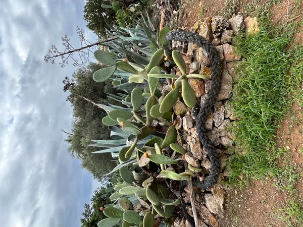 Casa o chalet independiente en Campanixtos, 3300 - Foto 7