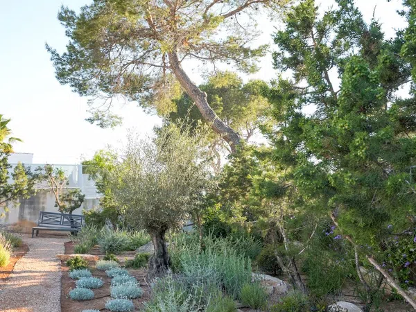 Casa o chalet independiente en Calle de la Punta des Pou, 200, Cala Vedella - Cala Tarida - Cala Conta, Cala Vedella - Cala Tarida - Cala Conta - Foto 31
