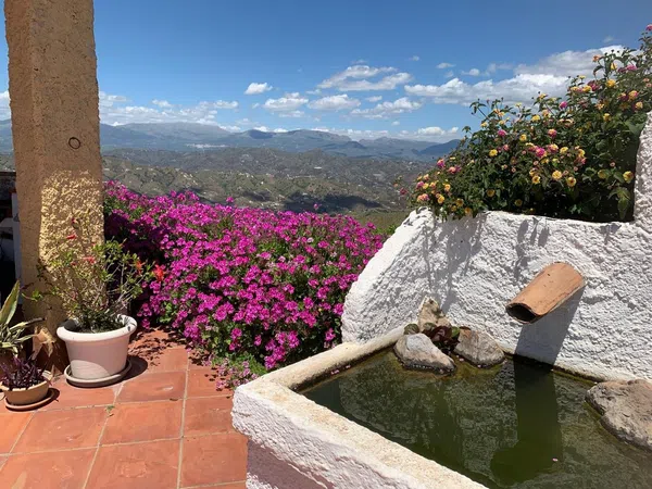 Casa rural en Cuesta paraje la, 283 parcela - Foto 9