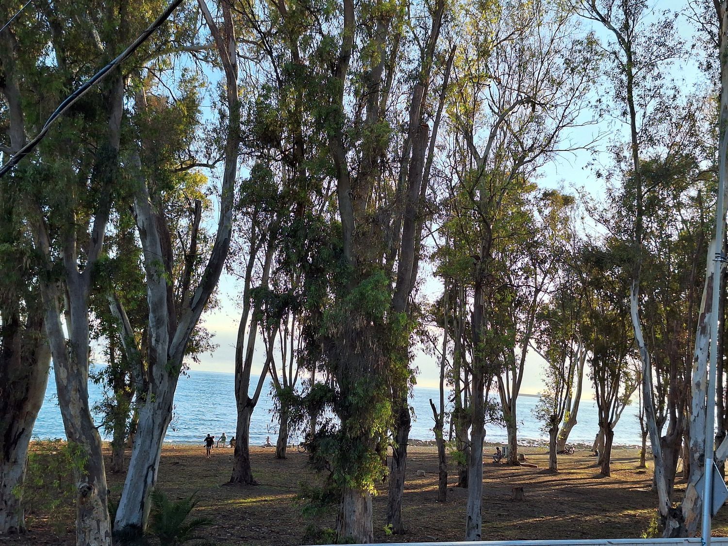 Piso en calle Bolivia, 57