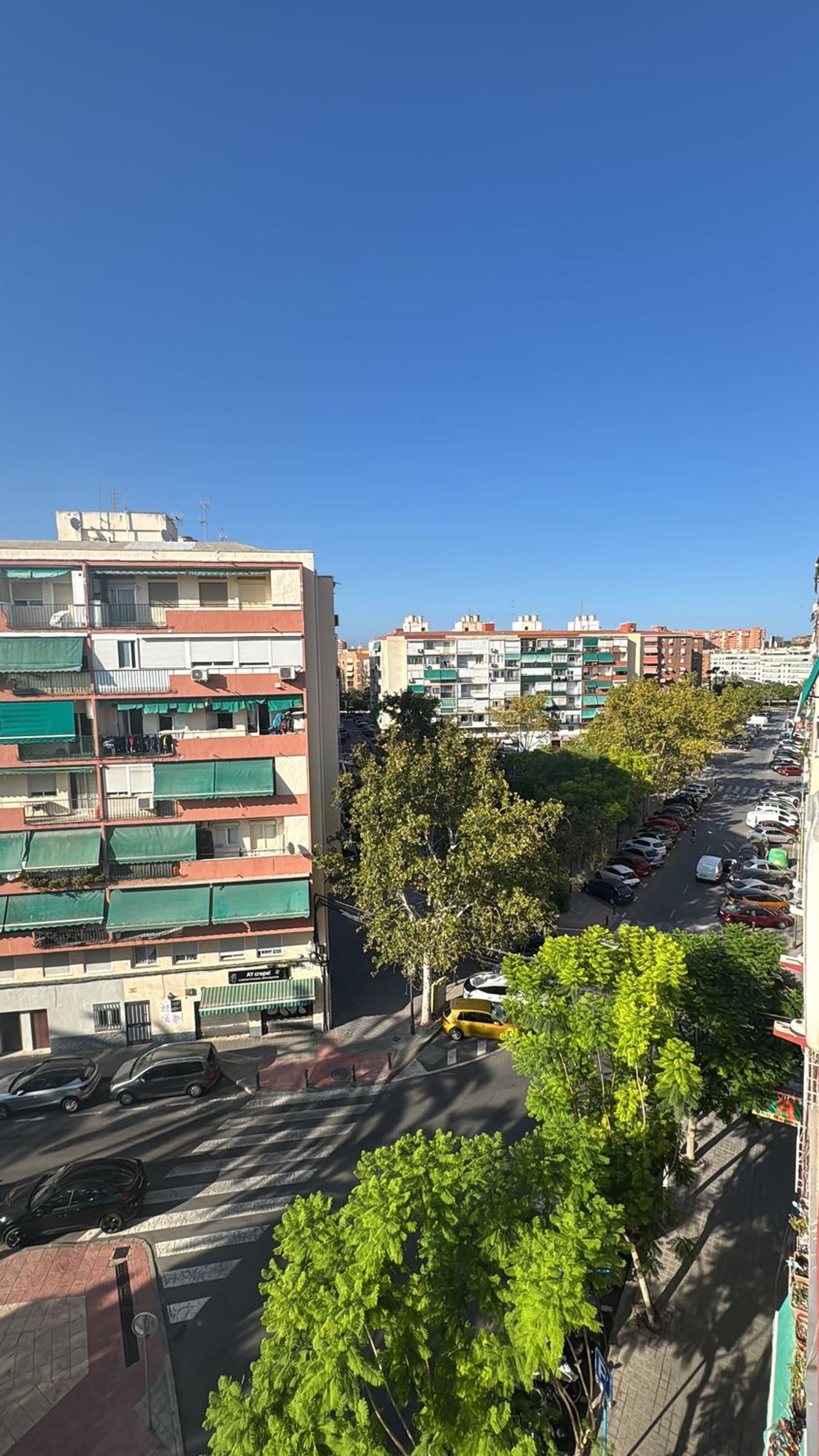 Piso en calle Fiscal Miguel Gutiérrez Carbonell, 15 - Foto 6