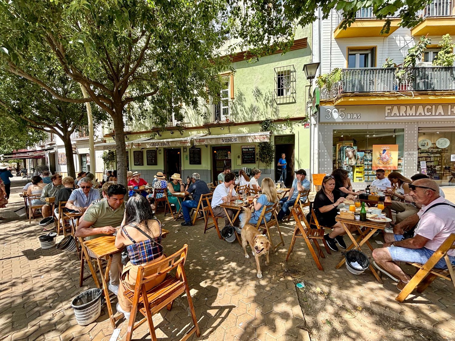 Estudio en calle Torneo, 23 - Foto 17