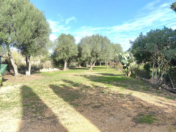 Finca rústica en Camino d'Es Coix Carro, 93 - Foto 11