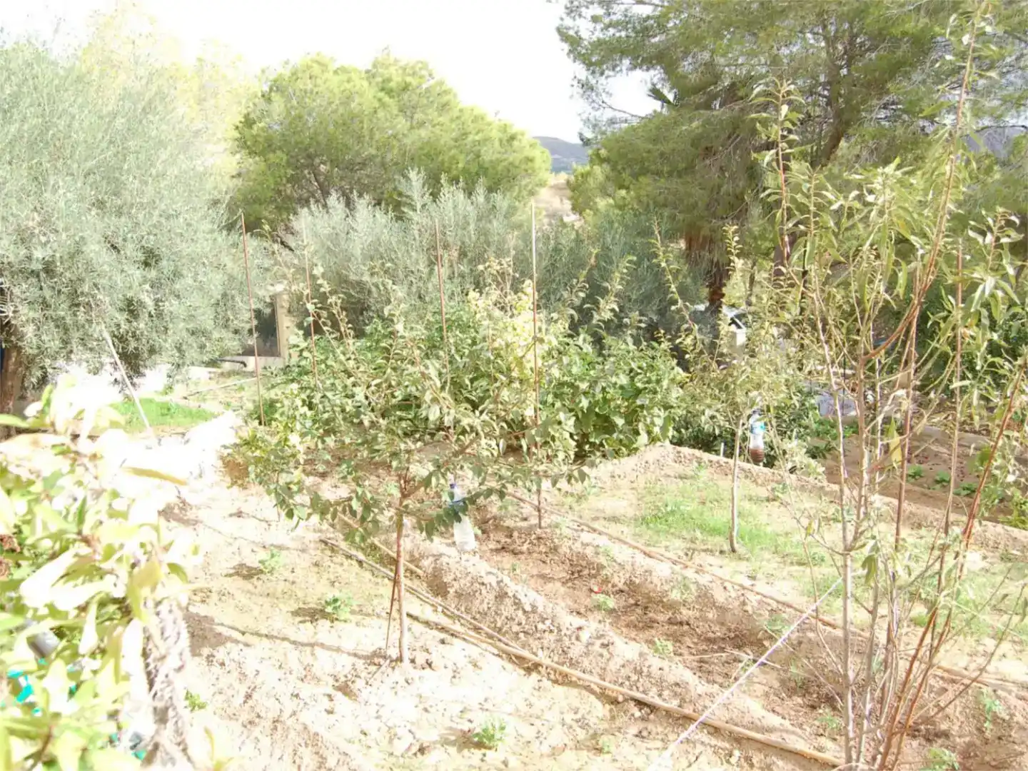 Chalet en  Urbanización la Pinada 37 - Foto 44