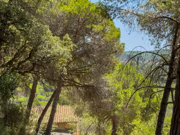 Masía en Masía en Diseminado Veinat de Sant Daniel, 104, Mas Mora - Sant Daniel, Mas Mora - Sant Daniel - Foto 17