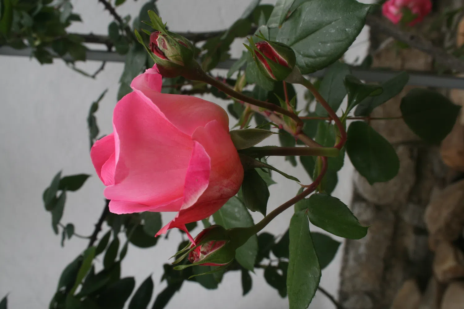 Chalet pareado en calle Valle Laciana, 52 - Foto 12