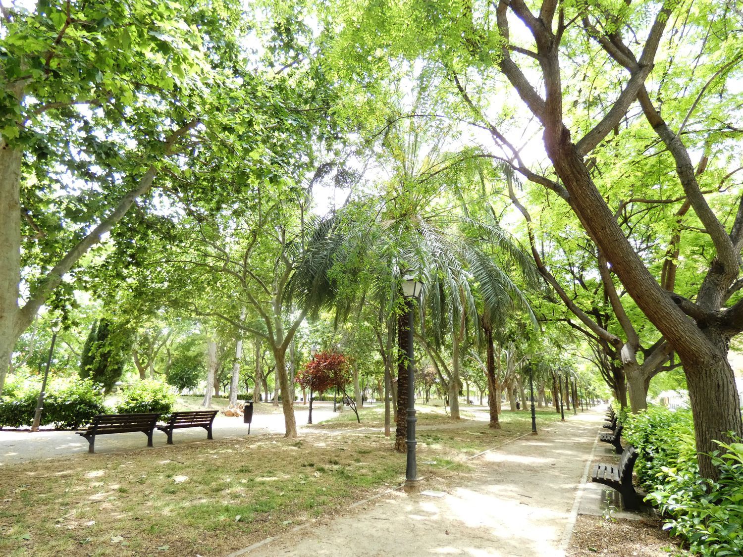 Piso en Calle de Sollana, 24, Na Rovella - Foto 15