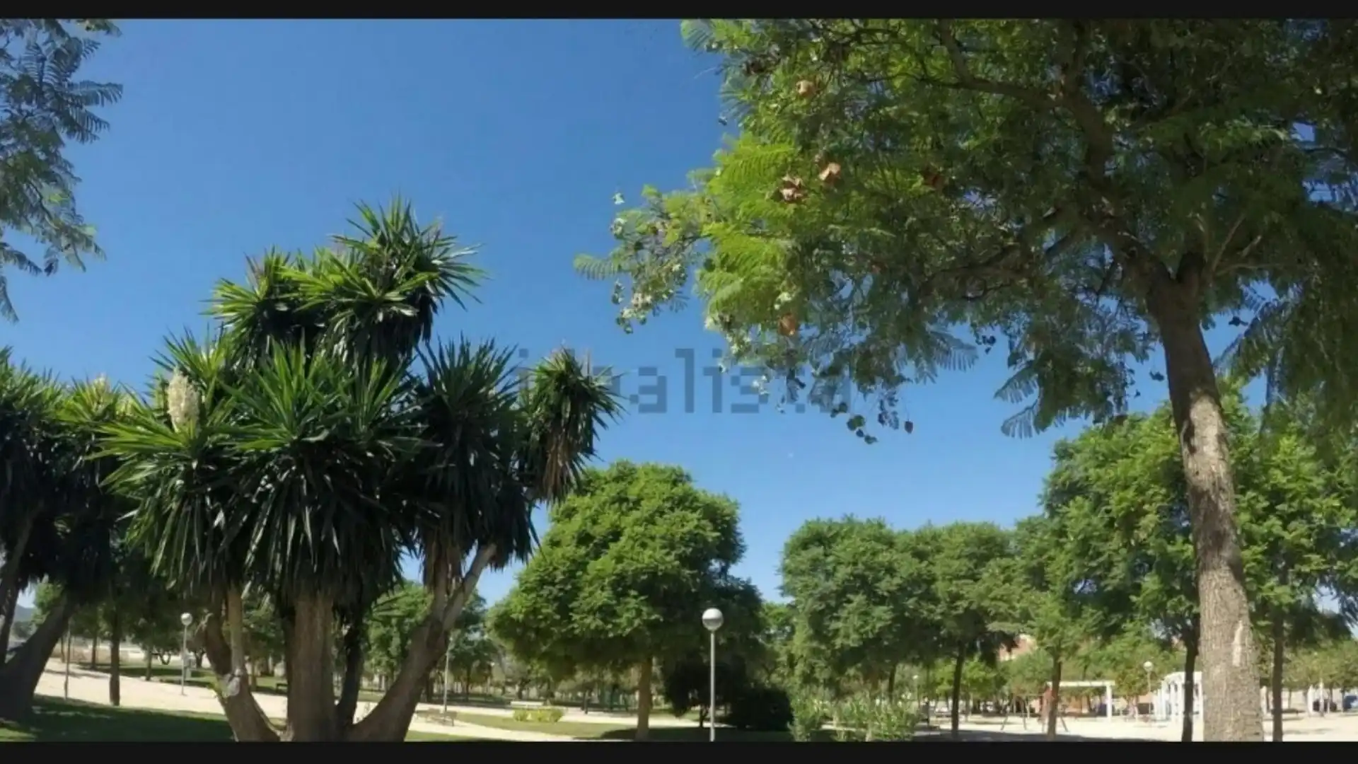 Piso en  Avenida Pintor Pedro Cano 53 - Foto 23