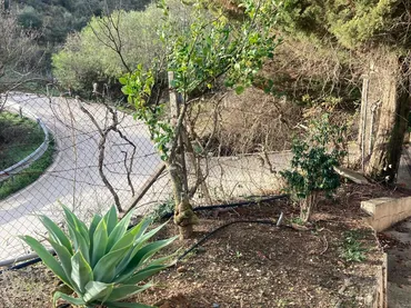 Finca rústica en Málaga Capital - Foto 18